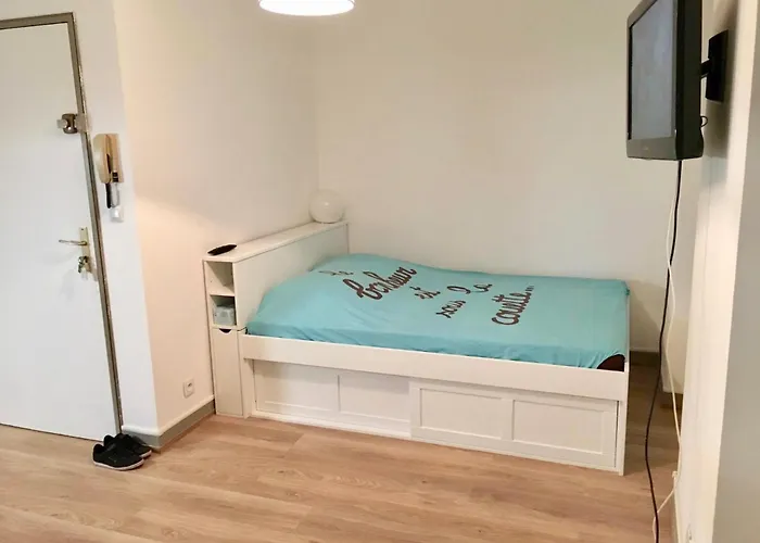 Apartment Chaleureux - Centre Poitiers